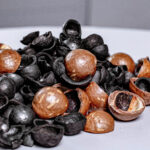Maccadamia Shell Charcoal Argo, Maccadamia shell charcoal in vietnam, Maccadamia shell charcoal Viet Argo, Wood Vinegar, wood charcoal