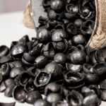Maccadamia Shell Charcoal Argo, Maccadamia shell charcoal in vietnam, Maccadamia shell charcoal Viet Argo, Wood Vinegar, wood charcoal